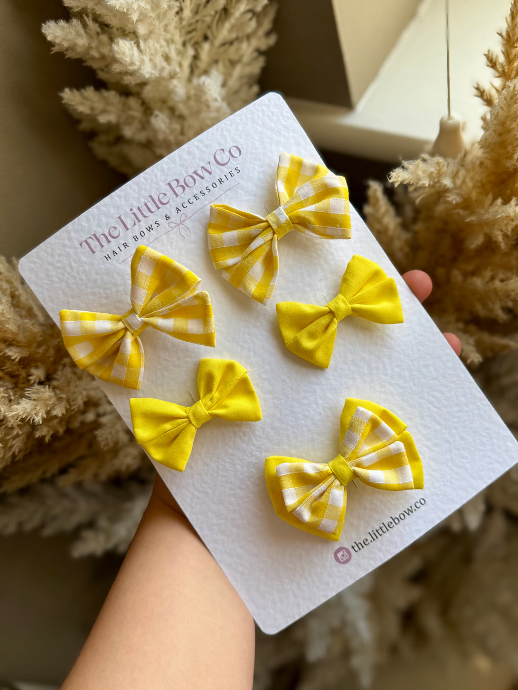School Bow Bundle